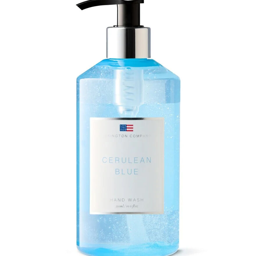 Hand Wash 350 ml